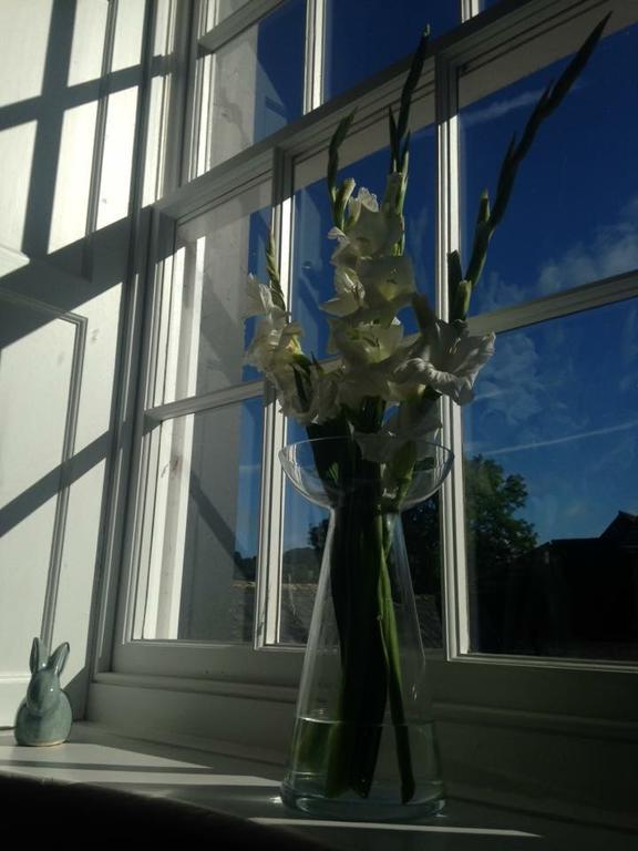 Lanercost Country B&B Brampton  Bagian luar foto